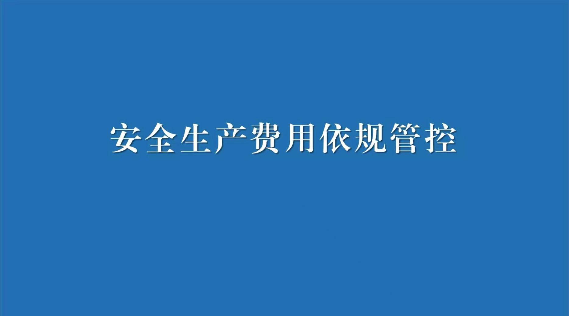 四、安全生产费用依规管控