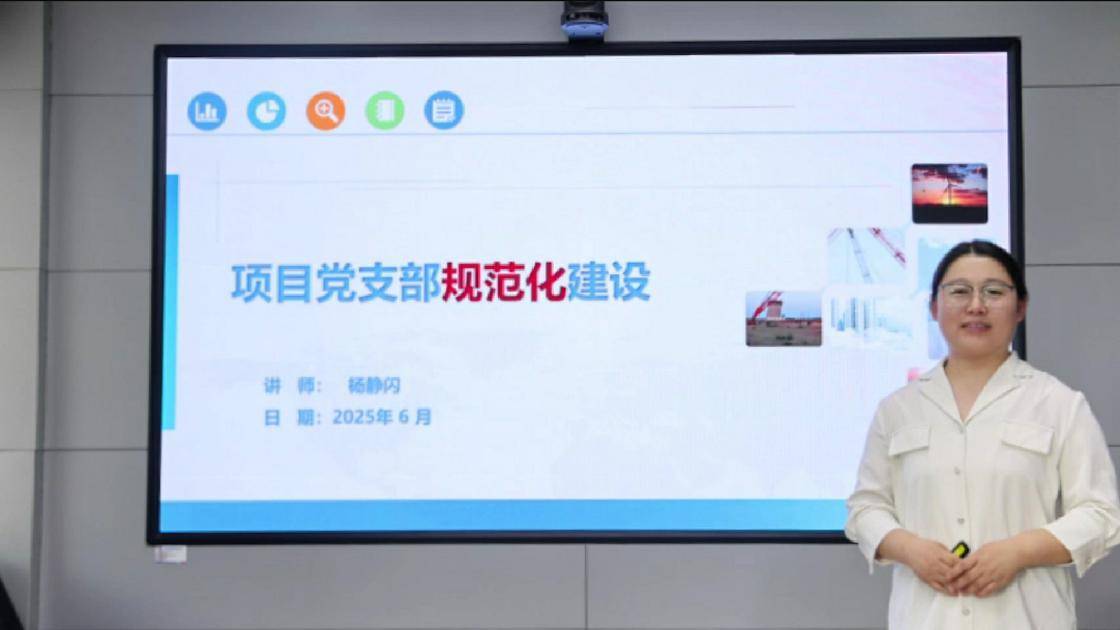 46项目党支部规范化建设